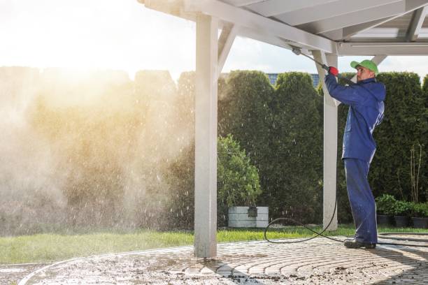 Best Roof Washing  in Fort Dodge, IA