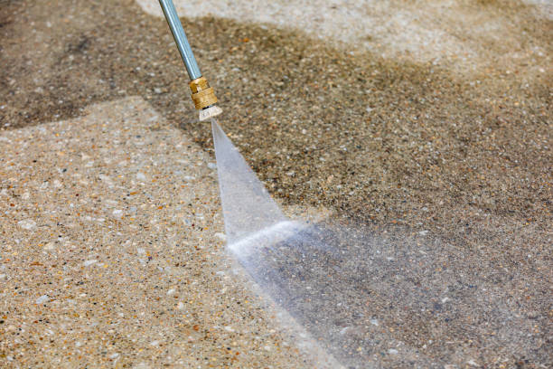 Best Sidewalk and Walkway Cleaning  in Fort Dodge, IA