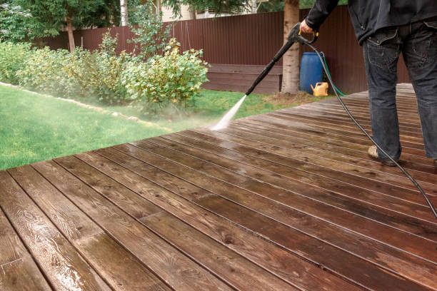 Best Driveway Pressure Washing  in Fort Dodge, IA